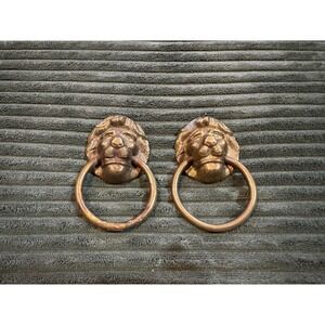 Pair of Vintage Lion Head Door Knocker Pulls Brass Metal Handles‎ Hardware